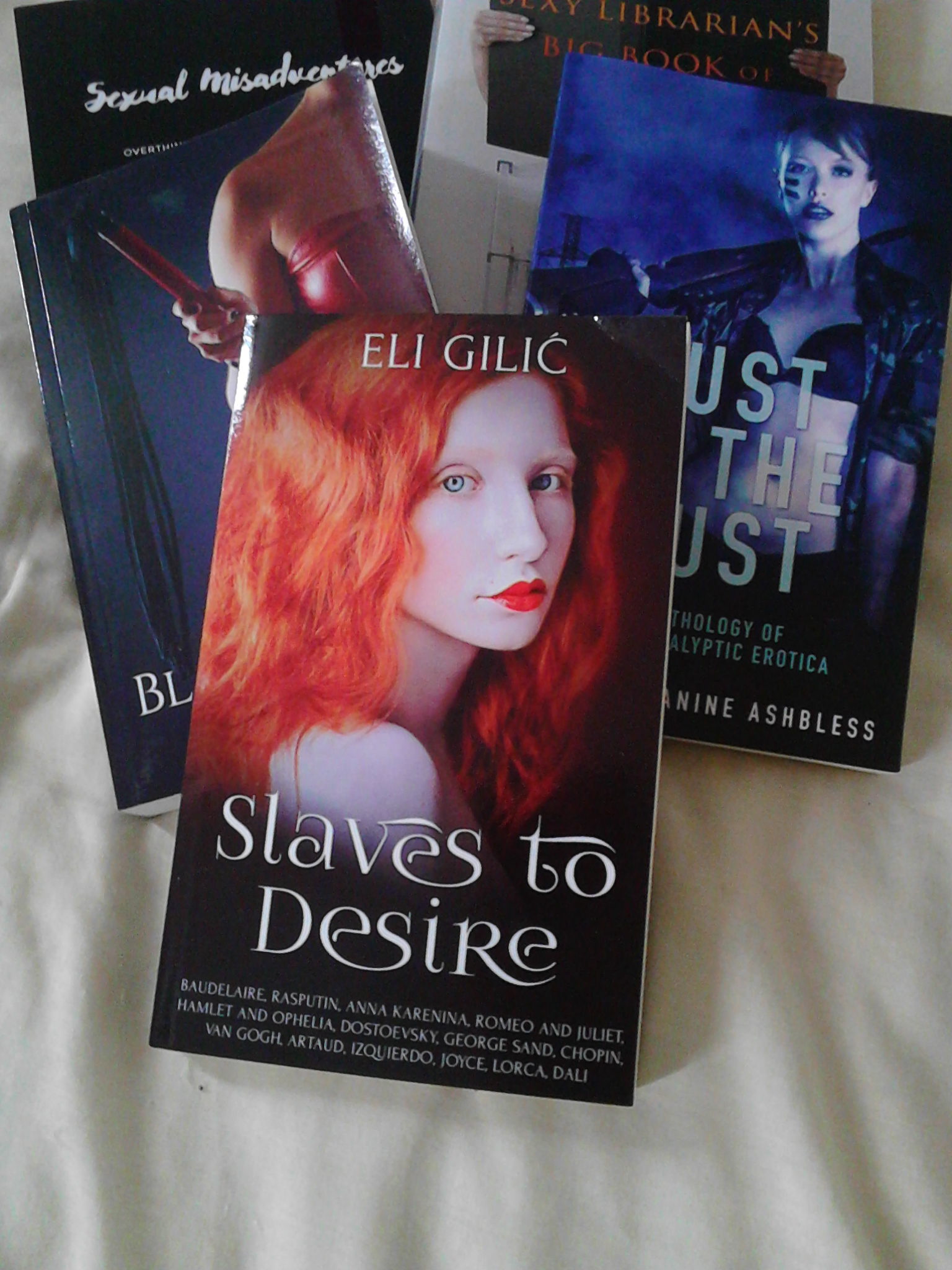 slaves to desire, erotica, books